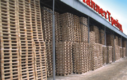 ����������� ��